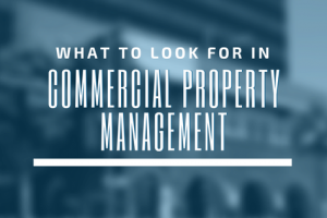 What to Look for in Commercial Property Management