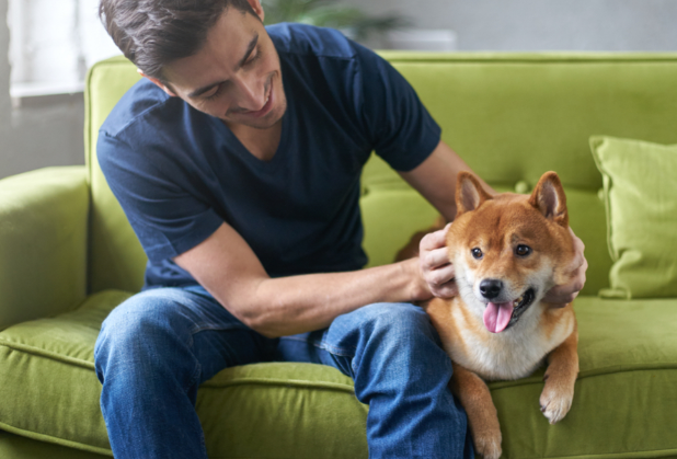 pet-owning tenants