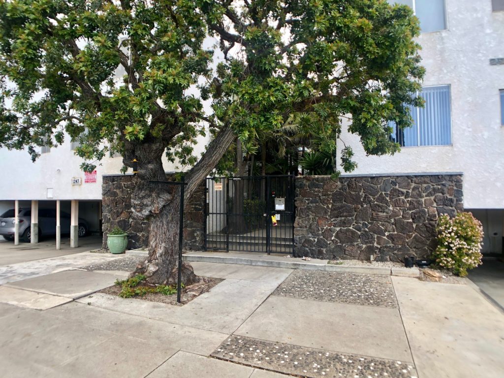 Santa Monica Property Management Property Managers