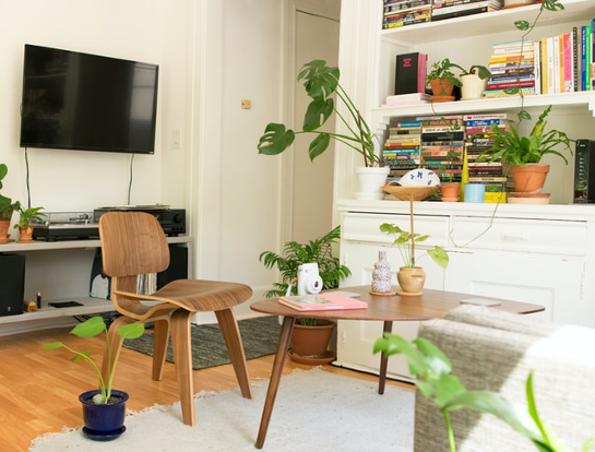 How to Make Your Rental More Eco-Friendly