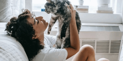 7 Ways to Pet-Proof Your Rental Property