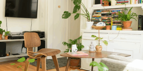 Staging a Home vs. Staging an Apartment