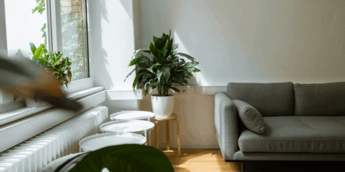 Easy-to-Implement Interior Design Styles for Small Apartments